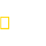 41_National_Geographic נשונל ג'אוגרפיק