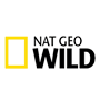 43_National_Geographic_wild נשונל ג'אוגרפיק