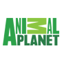 48_Animal_planet